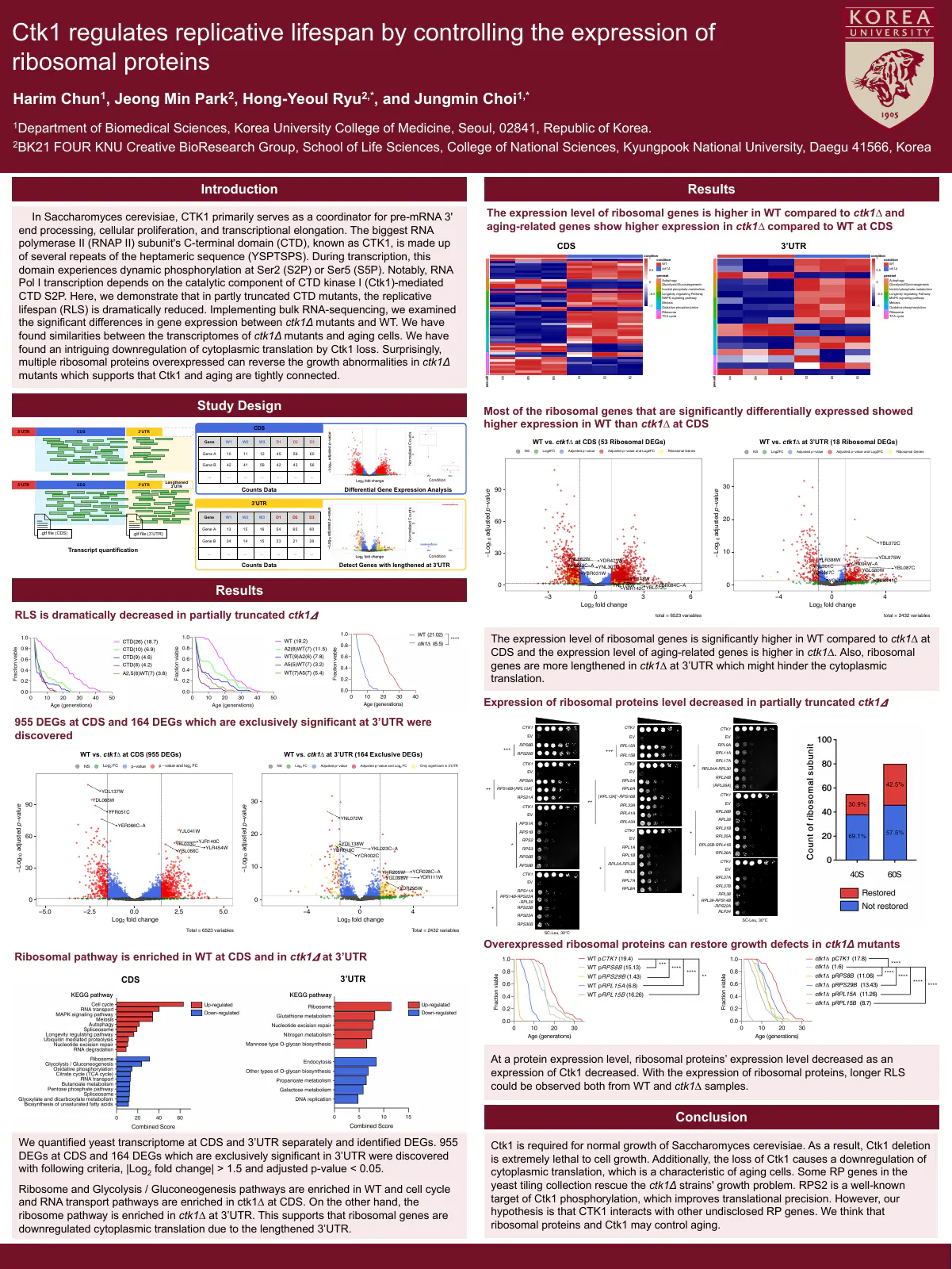 Preview of the KOGO 2023 Ctk1 and replicative lifespan poster