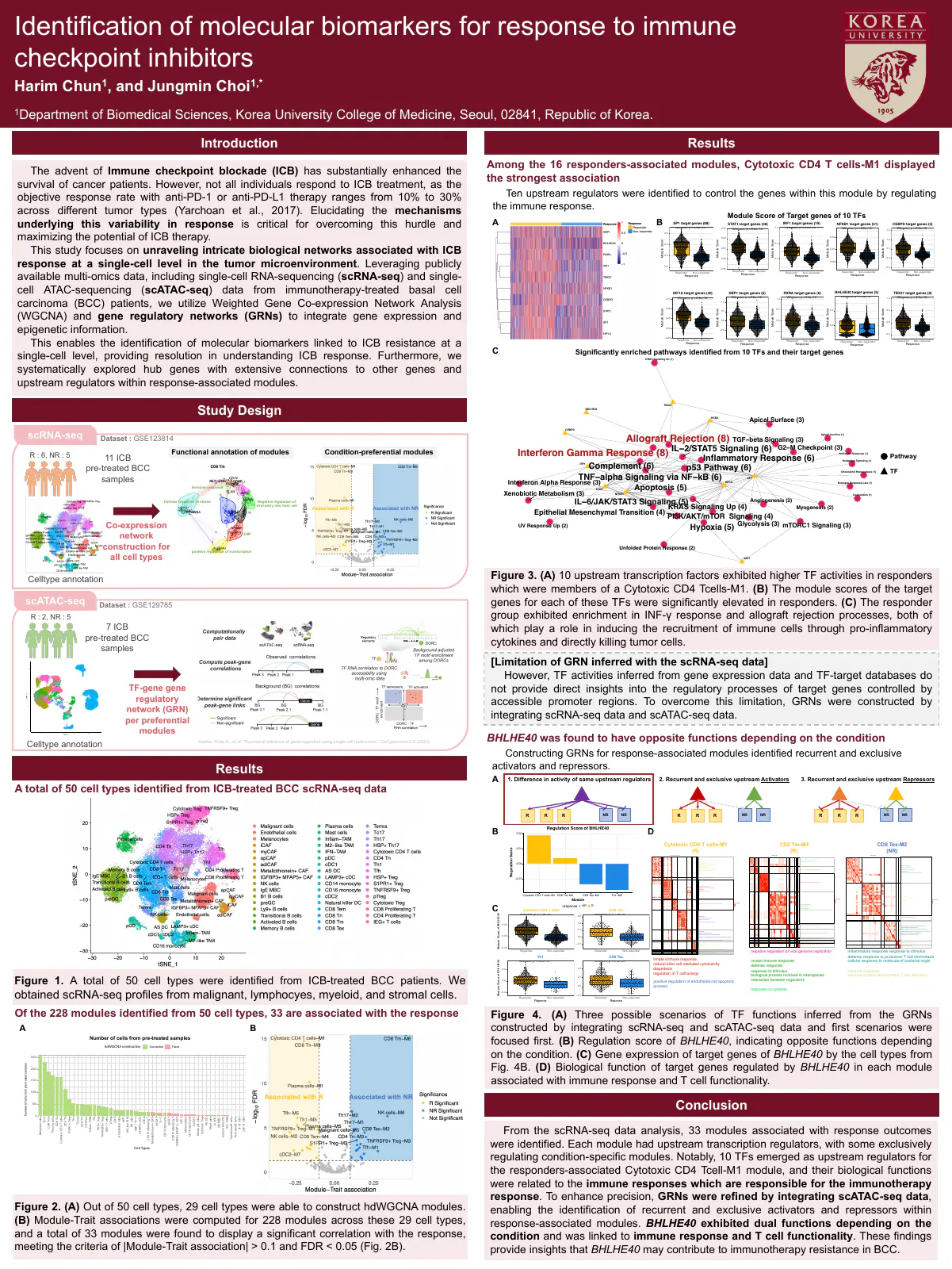 Preview of the KOGO 2024 immune checkpoint inhibitor poster
