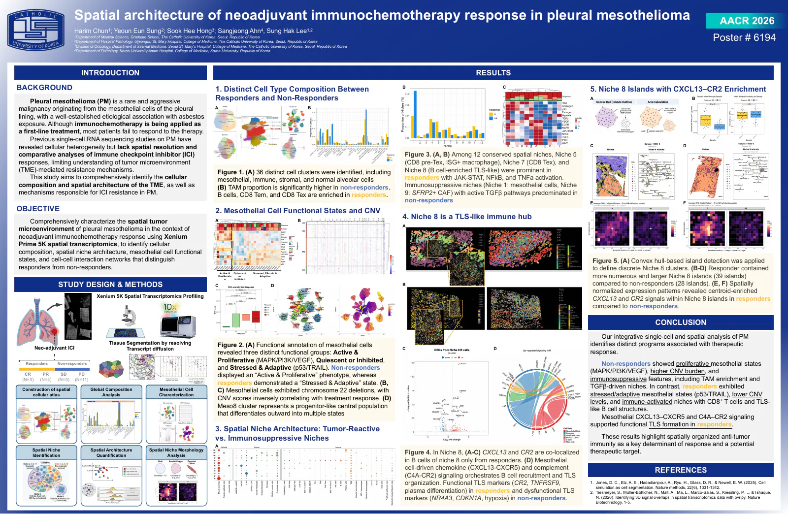 Preview of the AACR 2026 pleural mesothelioma poster